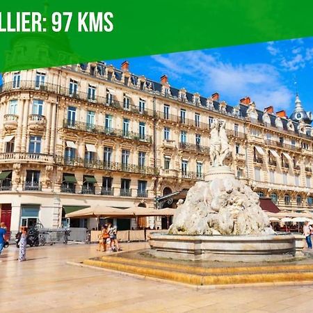 아비뇽 L'Olivier - 2 Terrasses - Clim Ac - Wifi - Proche Theatres 아파트 외부 사진